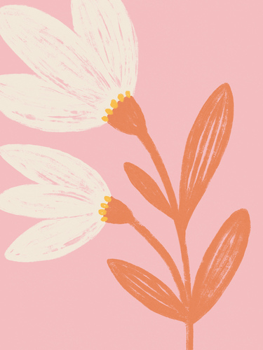Pink Modern Floral Drawing