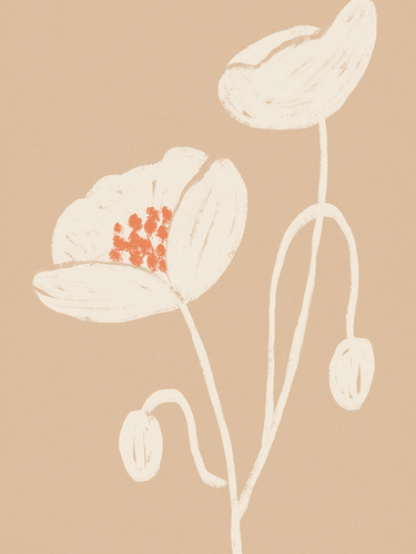 Soft Botanical Poppies