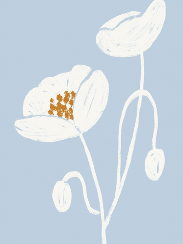 White Flowers Blue Background