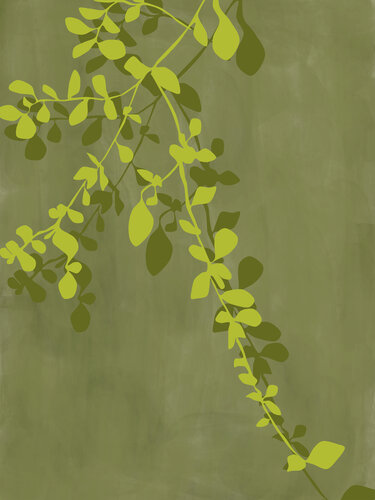 Green Leafy Vine