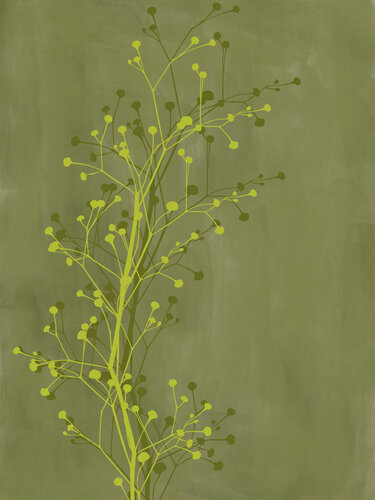 Green Botanical Branches